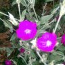 GoodRecovery profil fotoğrafı