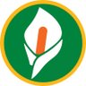 Calla profil fotoğrafı