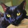 Profilbild von Mao.com