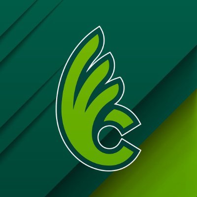 DubC_Football's profile picture