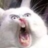 laurent vidal's profile picture