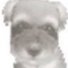 ₊˚⊹ᰔ marie ₊⊹'s profile picture
