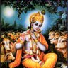 Krishna profil fotoğrafı