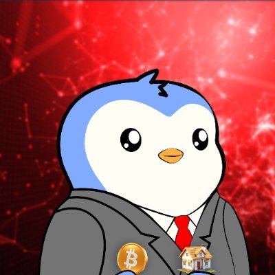 Satoshi Flipper's profile picture