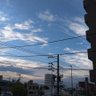 Фото профиля やんけどん(宮本国人)