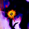 ‎🌘Eclipse.☀ (comms open.) profil fotoğrafı