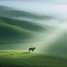 Фото профиля 青绿