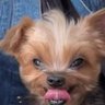 Giselle's profile picture