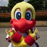 しらちゃん's profile picture
