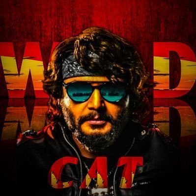 Wildcat's profile picture