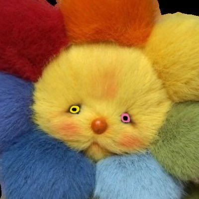 🍉 roan's profile picture