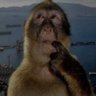 cocoSSS🍌🍌 profil fotoğrafı