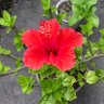 14世カチェリーナ・荒川正信 的头像