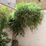 Фото профиля المهندس حسن الجبر