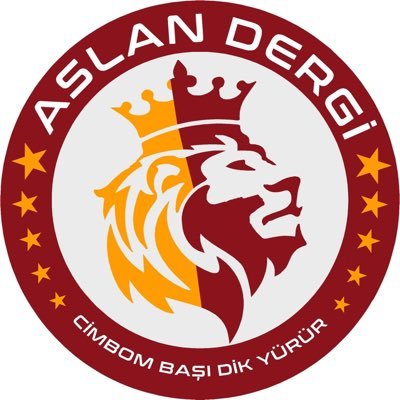 aslandergi's profile picture