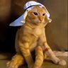 Best Arab Cat's profile picture