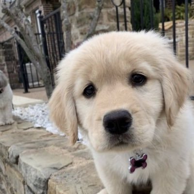 VVL. ˙⋆✮ ♡'s profile picture