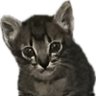 Babyome profil fotoğrafı