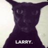 Фото профиля THE GREAT LARRY