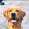 tara calafia profil fotoğrafı