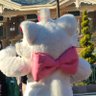 🍯とんみぃ💕🌈 profil fotoğrafı