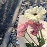 BTAR profil fotoğrafı