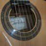 Guitar in The Car's profile picture