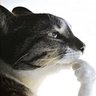Profilbild von Winn.rar