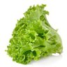 Фото профиля Lettuce 🥬