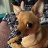 JOE's profile picture