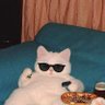 Michael cox's profile picture