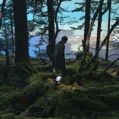 Nanchengsp's profile picture