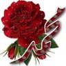 Profilbild von Nagla abdelfattah