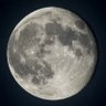 Фото профиля Crypto Moon