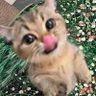 fawi profil fotoğrafı