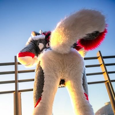 bleatsnbraps's profile picture