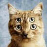 أم أويس profil fotoğrafı