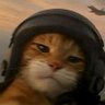 Profilbild von Cris