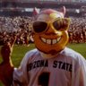 Profilbild von Sun Devil Bias