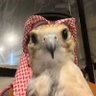 SulTaN ✩ 的头像