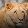 James Thomas profil fotoğrafı