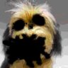 isa's profile picture