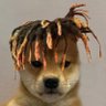 AeroNoxz's profile picture