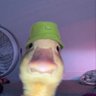 Profilbild von 2am_gabe_