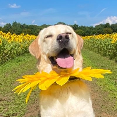 zl_vwy's profile picture