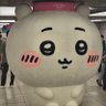 Фото профиля パセリ 0から始める夢幻