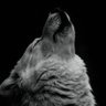 らんらん's profile picture