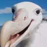 Profilbild von 123