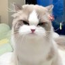 bew's profile picture