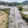 Фото профиля ケイティー